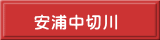 安浦中切川 