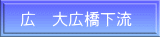 広　大広橋下流 