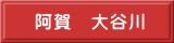 　阿賀　大谷川