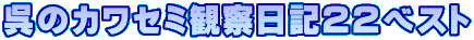 呉のカワセミ観察日記２２ベスト