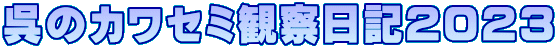 呉のカワセミ観察日記２０２３