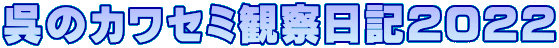 呉のカワセミ観察日記2022