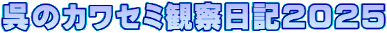 呉のカワセミ観察日記２０２５